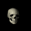 skull.gif (40695 bytes)