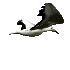 bird.gif (3877 bytes)